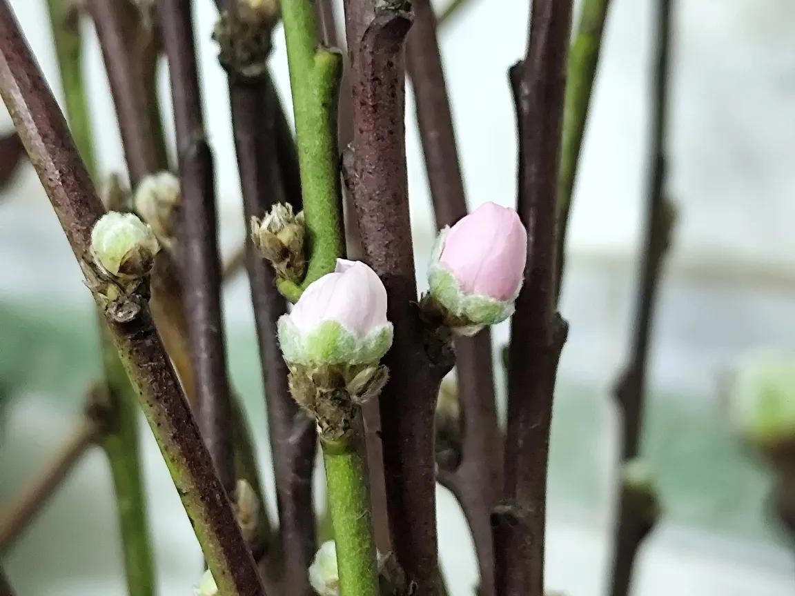 在情感的世界里，我们常常期待一份完美无缺的爱情。我们渴望对方能时刻理解自己，满足