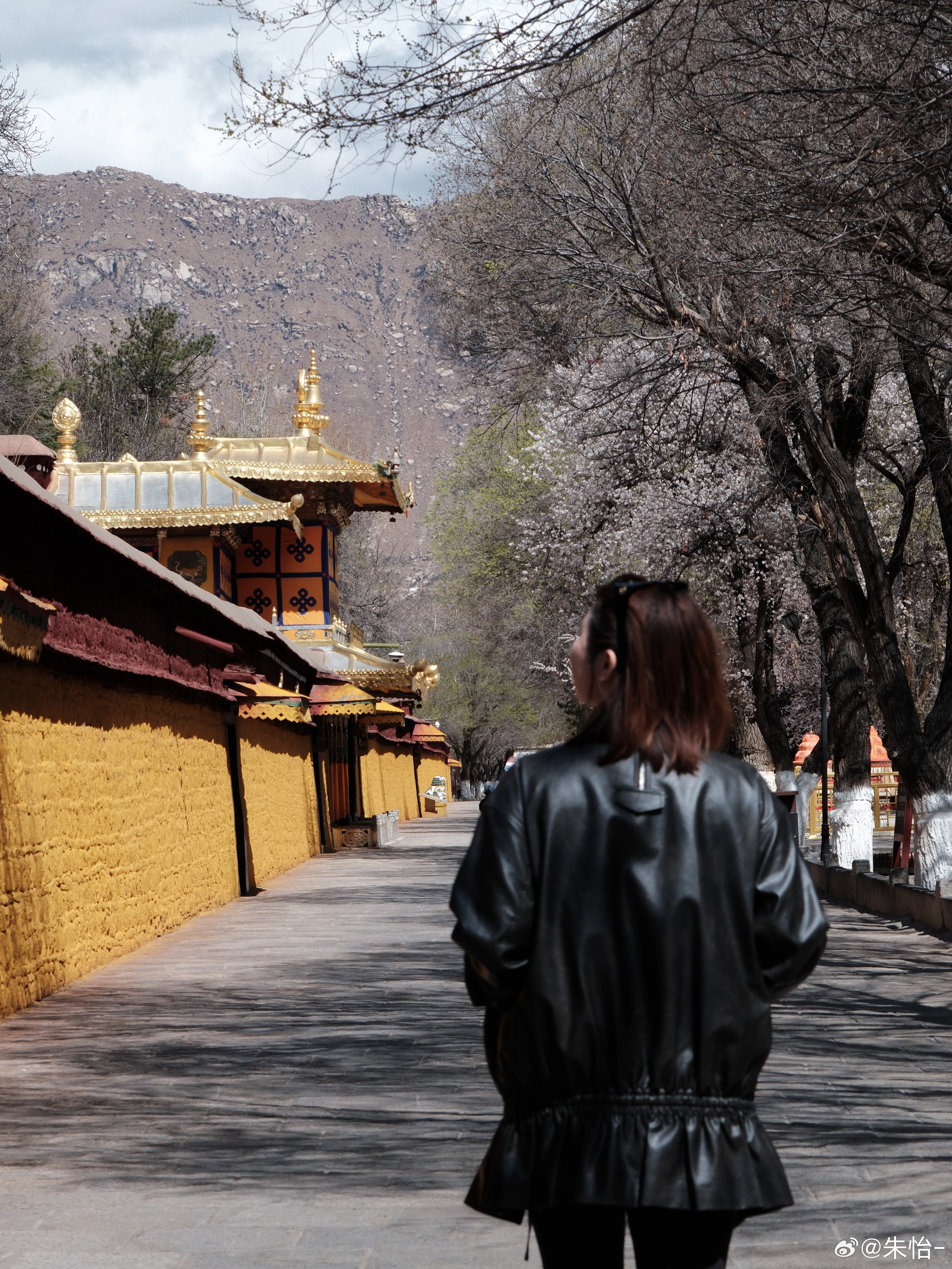 西藏博物馆/罗布林卡/吉本岗艺术中心被藏式美学包裹📸西藏旅行 拉萨