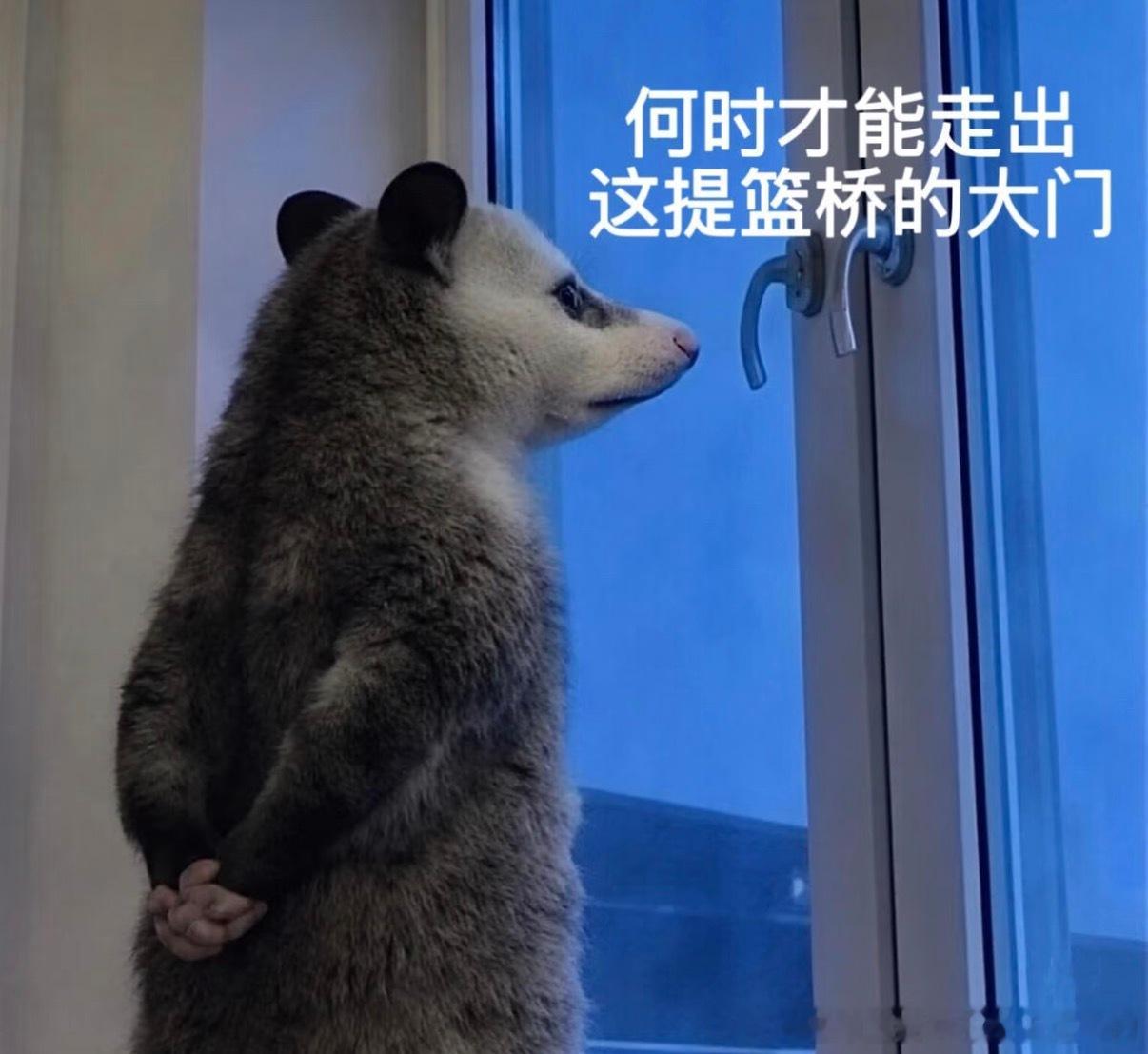 本人日常承接业务：心碎SLM收容中心、破防LBG心理疏导基地、道心破碎LXH黑化