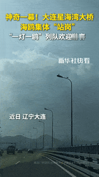 太神奇了！一女子到大连旅游，开车经过星海湾大桥，竟抬头看见非常神奇的一幕！女子惊