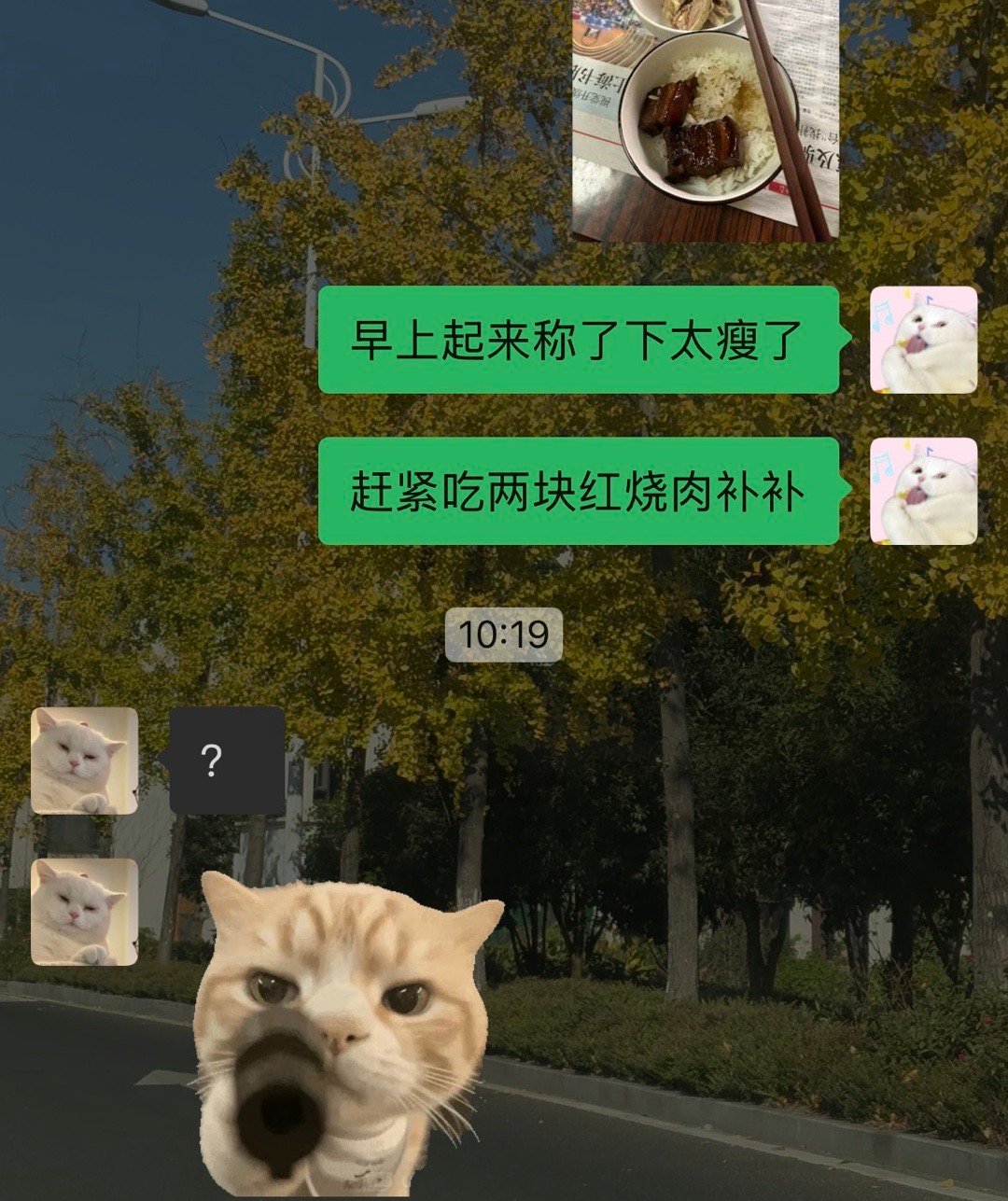 当别人问我怎么瘦的我就： ​​​