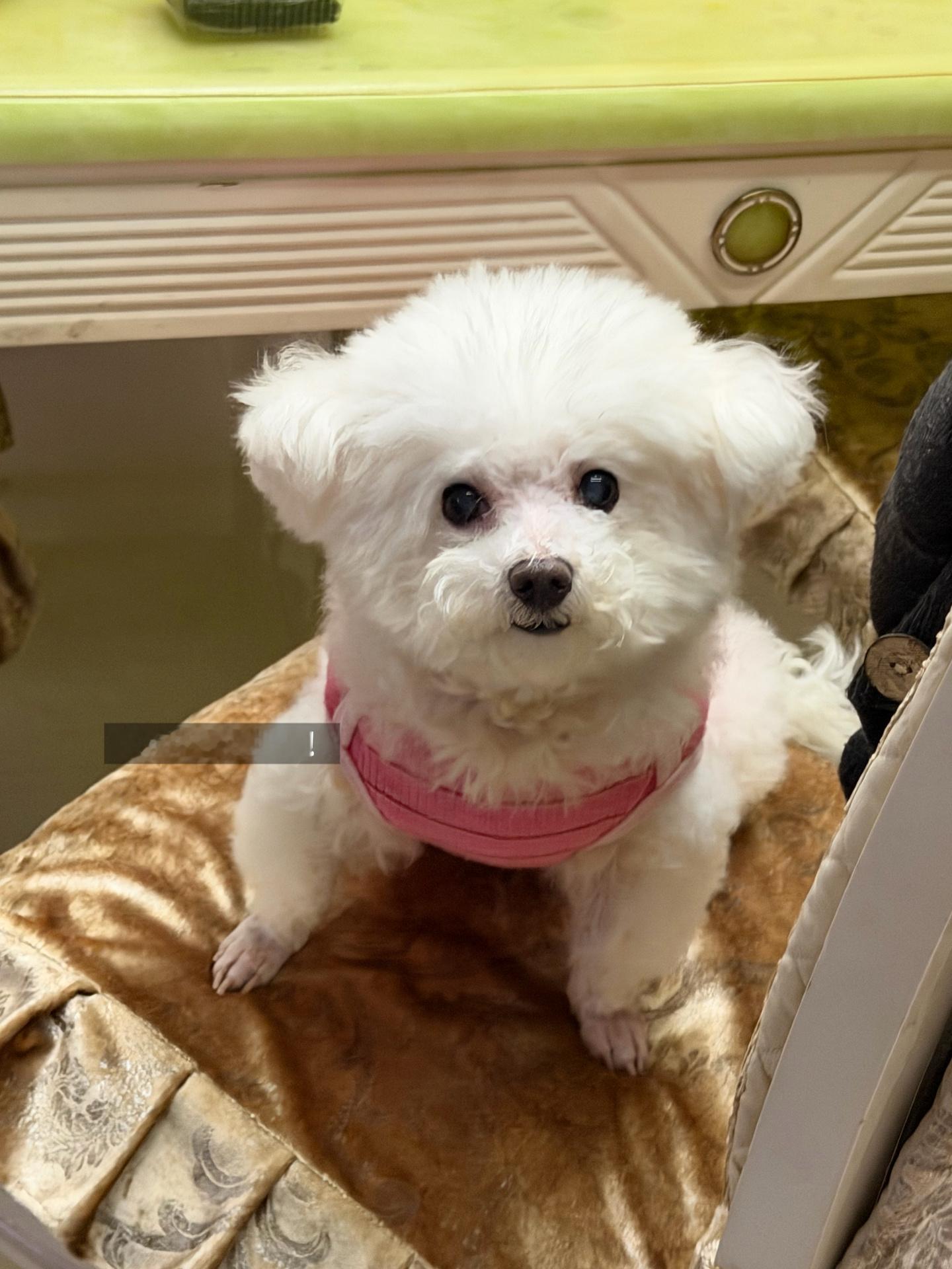 生活这个拼图 应该有无数个碎片吧🧩我的日常plogplog温暖的食光