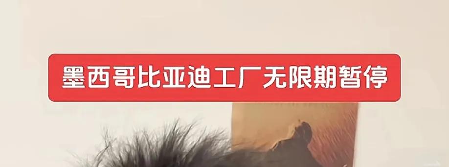 墨西哥不讲诚信，比亚迪在墨西哥投资的超级工程已无限期搁浅。当时去的时候热烈欢迎，