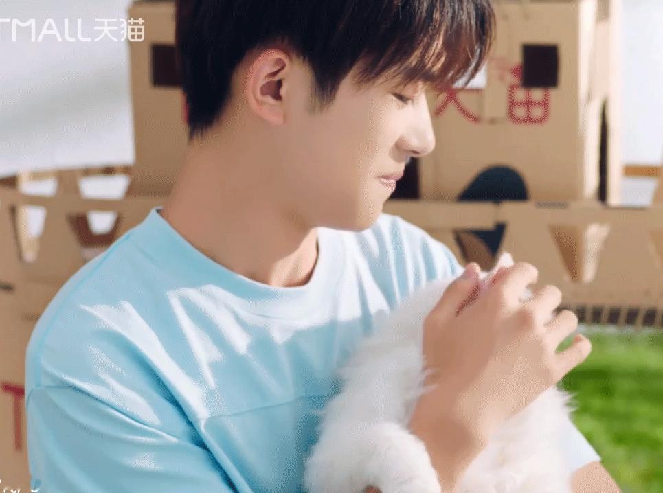 此白猫真是身在福中不知福！易烊千玺淘宝天猫全球代言人四字 易烊千玺 yyqx 四
