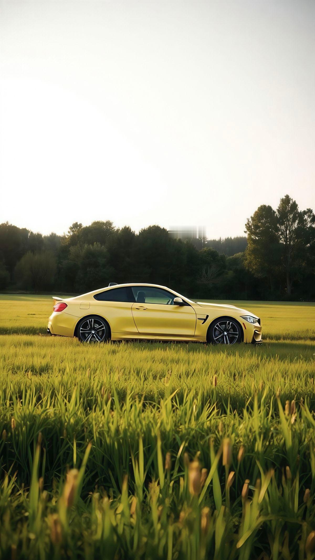 早！Bimmer手机壁纸 bmwsky