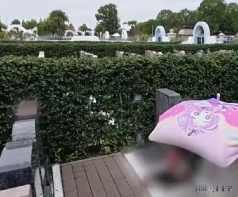 近日，上海一墓地上撑着一把粉粉的伞，一看就是女孩用的伞，一定是妈妈担心会下雨，给