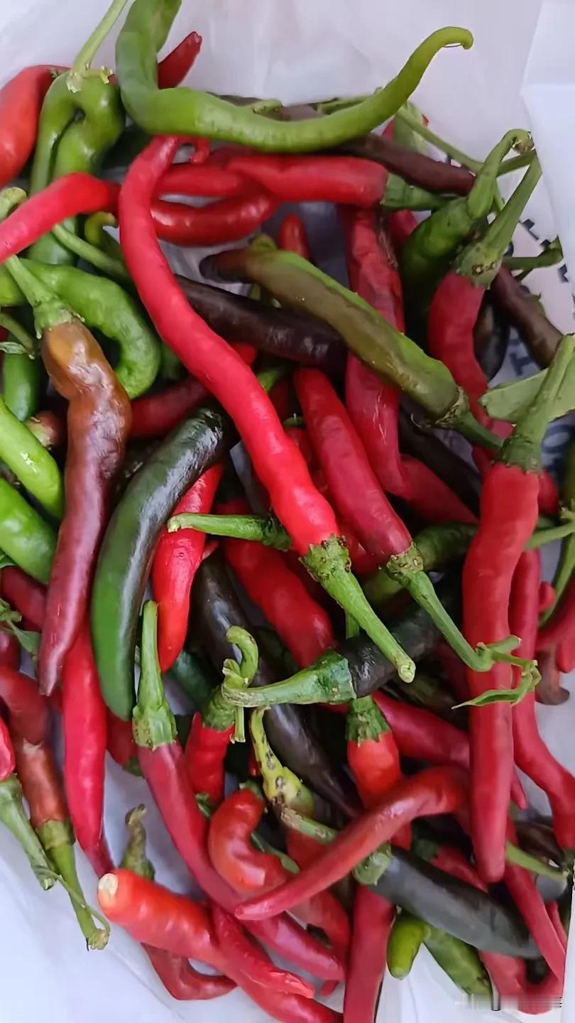 又一家上市公司退市，ST高鸿被认定无实质商业活动造假退市。上市公司被处予1.6亿