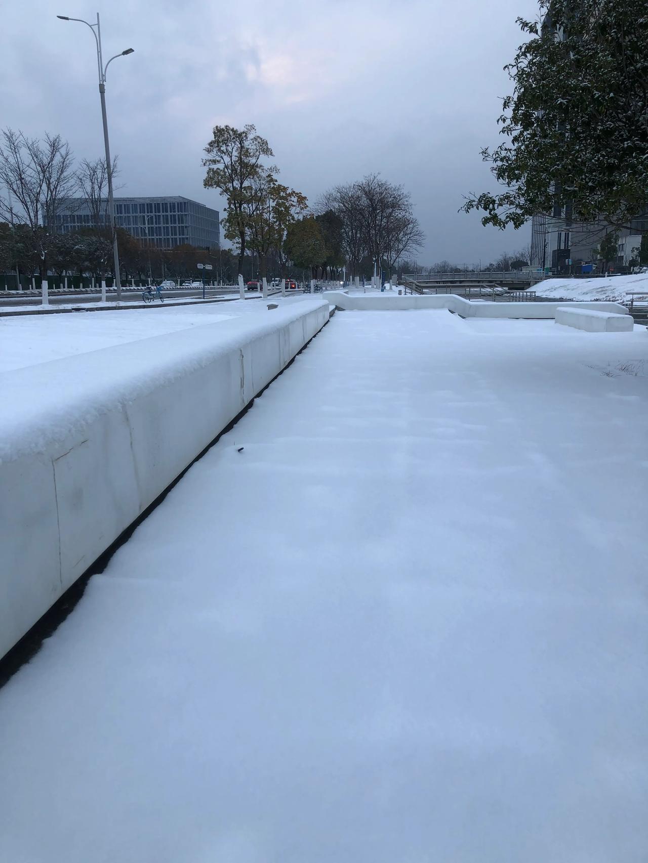 喜迎南京大雪
文｜孙玉良
漫天冰花舞苍穹
一场富贵降金陵
玉甲崩鳞旋地卷
琼妃解