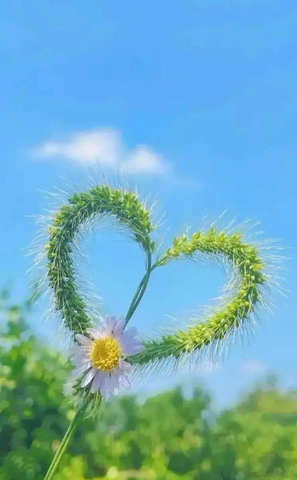 冠心病心绞痛的6种类型​1、心血瘀阻主要表现为胸部刺痛，固定不移，入夜加重。亦可