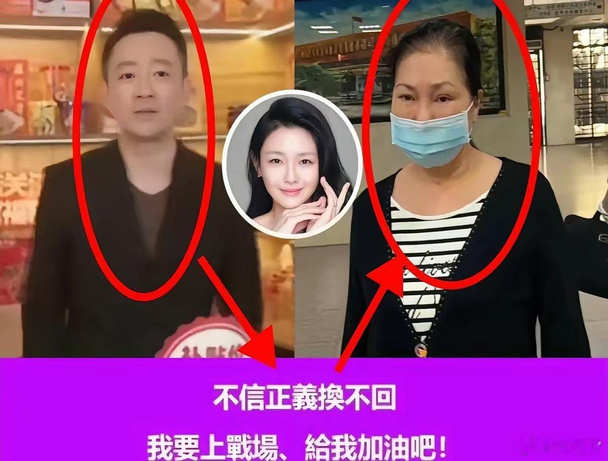 大S母亲在女儿去世后频繁发声，引发网友关注和猜测。她的行为被认为是在为女儿争取利