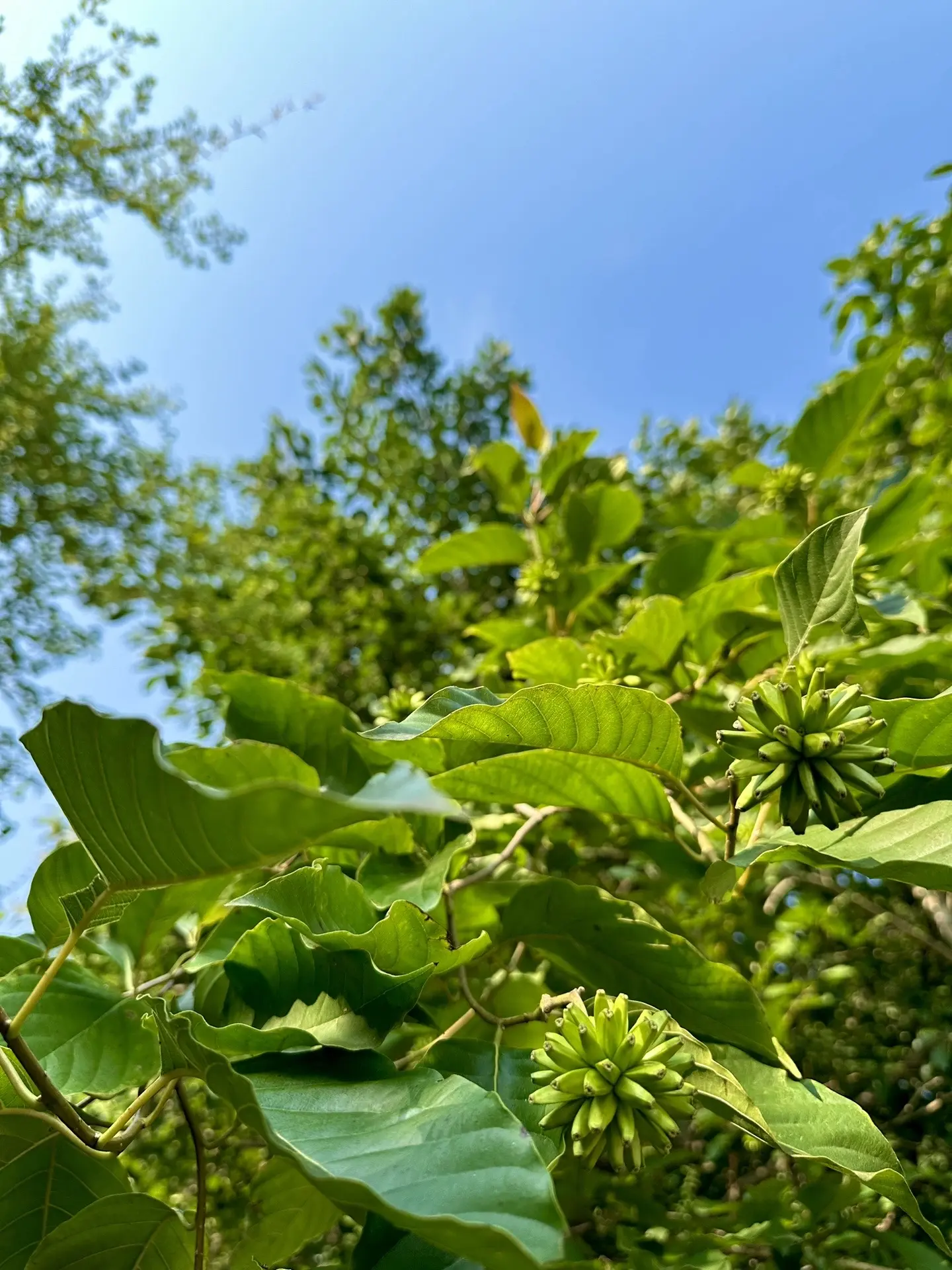 去爬山吧，风会给你答案⛰️