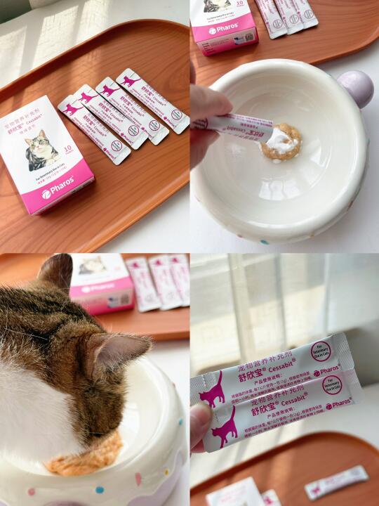 有了它守护 让猫咪的焦虑悄悄融化