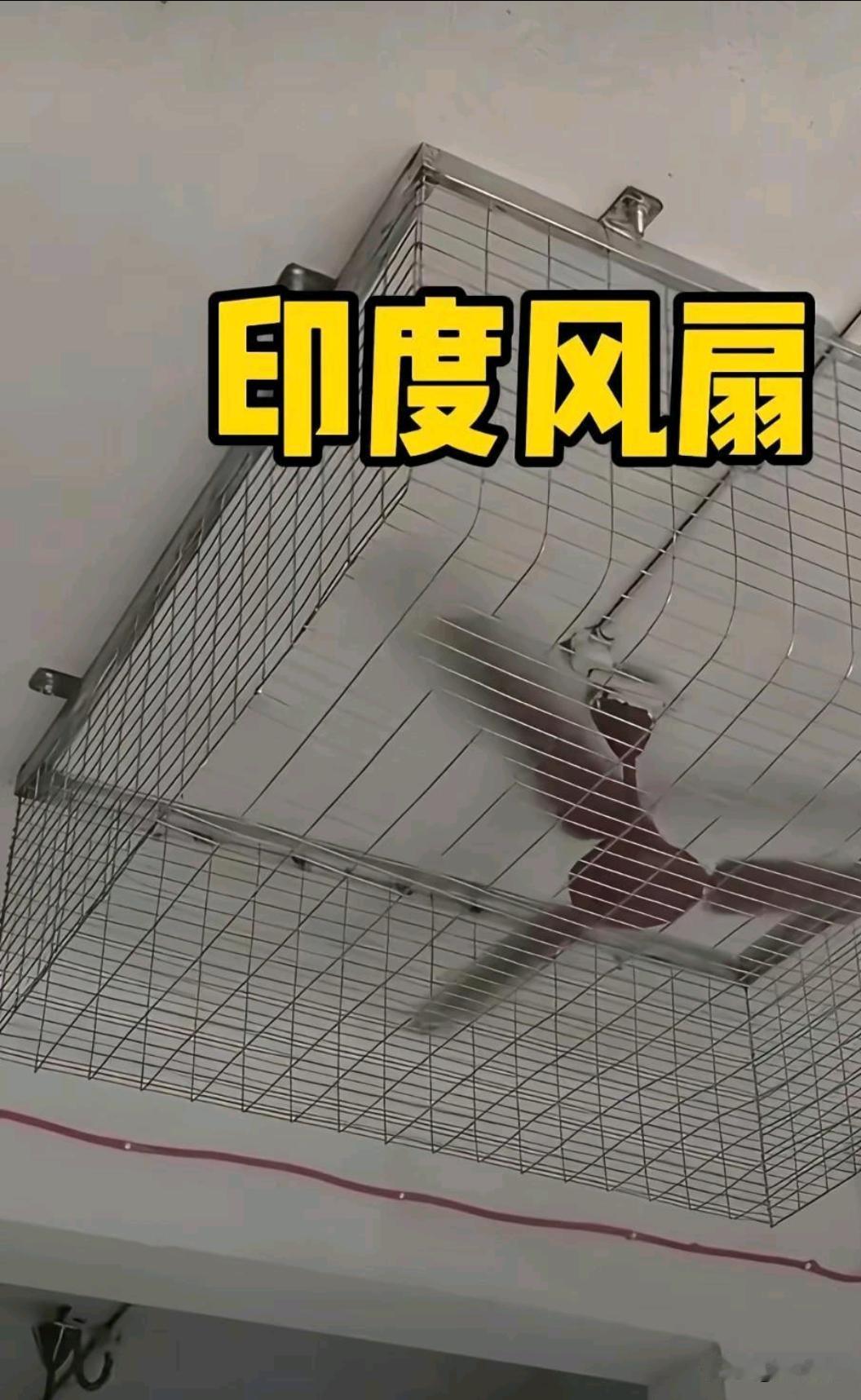 框起来不是别的，真的有人偷！毕竟现在每天都45度以上！