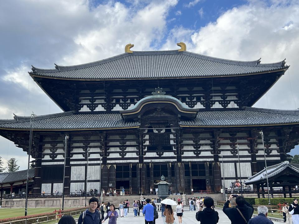 去年趁十一假期，第一次去日本，就觉得日本是一个值得反复去的地方。
今年没有赶上樱