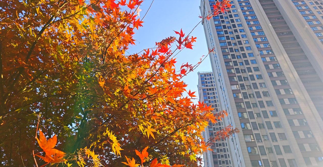 女孩子真的不要恋爱脑，20年前，一个在税务工作的女孩子小丁爱上了一个志愿兵，一来