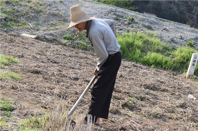 1981年5月，陕西省兴平县豆马村村民高军田在田间劳作翻地时，意外挖出一件鎏金器