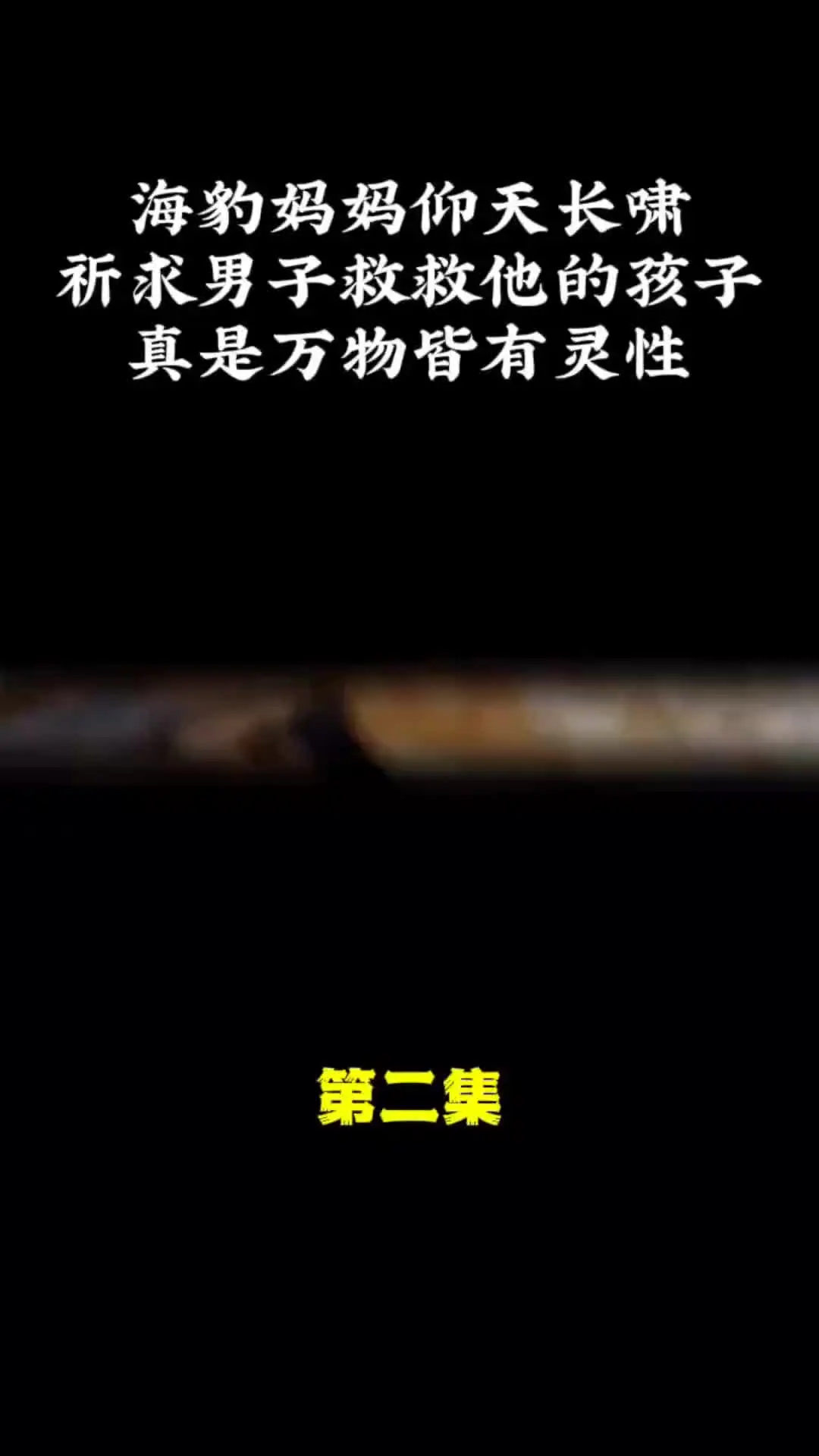 我的观影报告 内容启发搜索 动物的迷惑行为