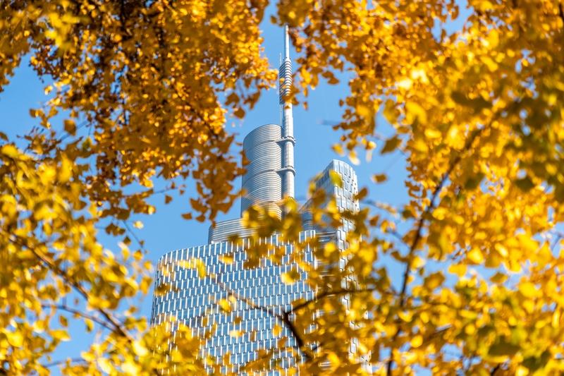 条友这一周 这周有趣的事儿可不少。先是和老友去京郊秋林打卡，那感觉绝了！沿着铺满