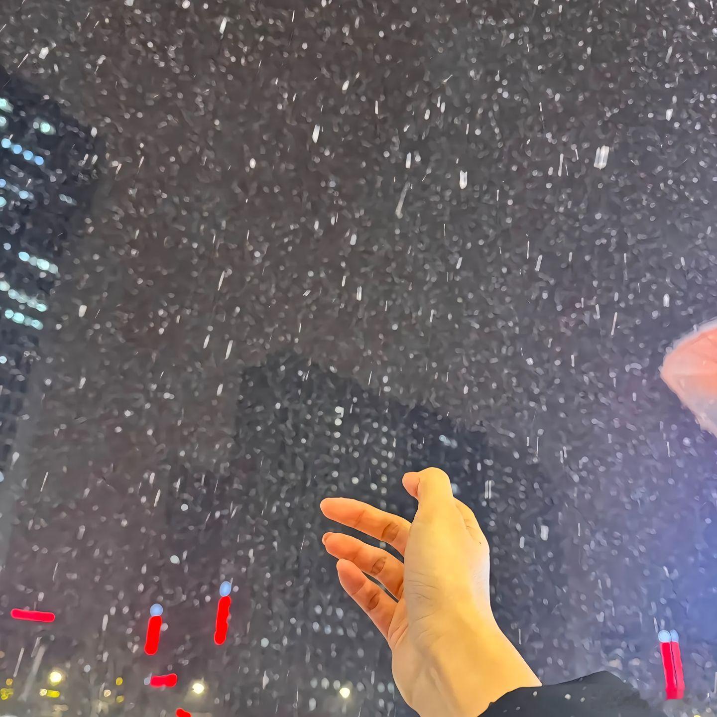 随手拍其实最合适你的人，从来不是那个爱而不得的人，而是看透了你的脾气，明白了你的