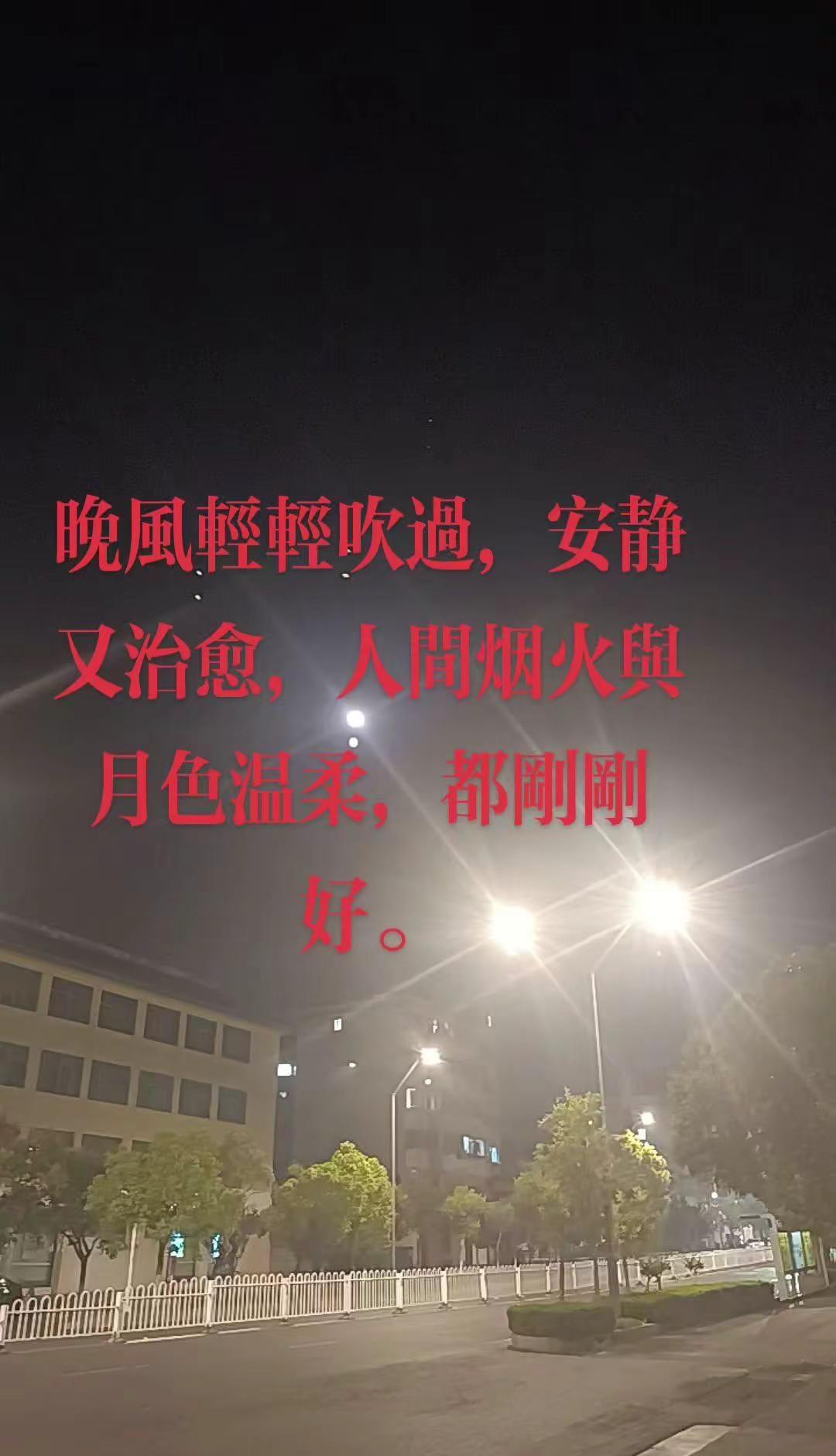 月色清冽，灯火温柔，晚风惬意，把夜晚的氛围感拉满，治愈又心安！路灯下的行程