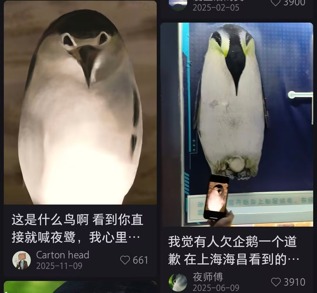 9570一点开就这样，我真的很想笑 