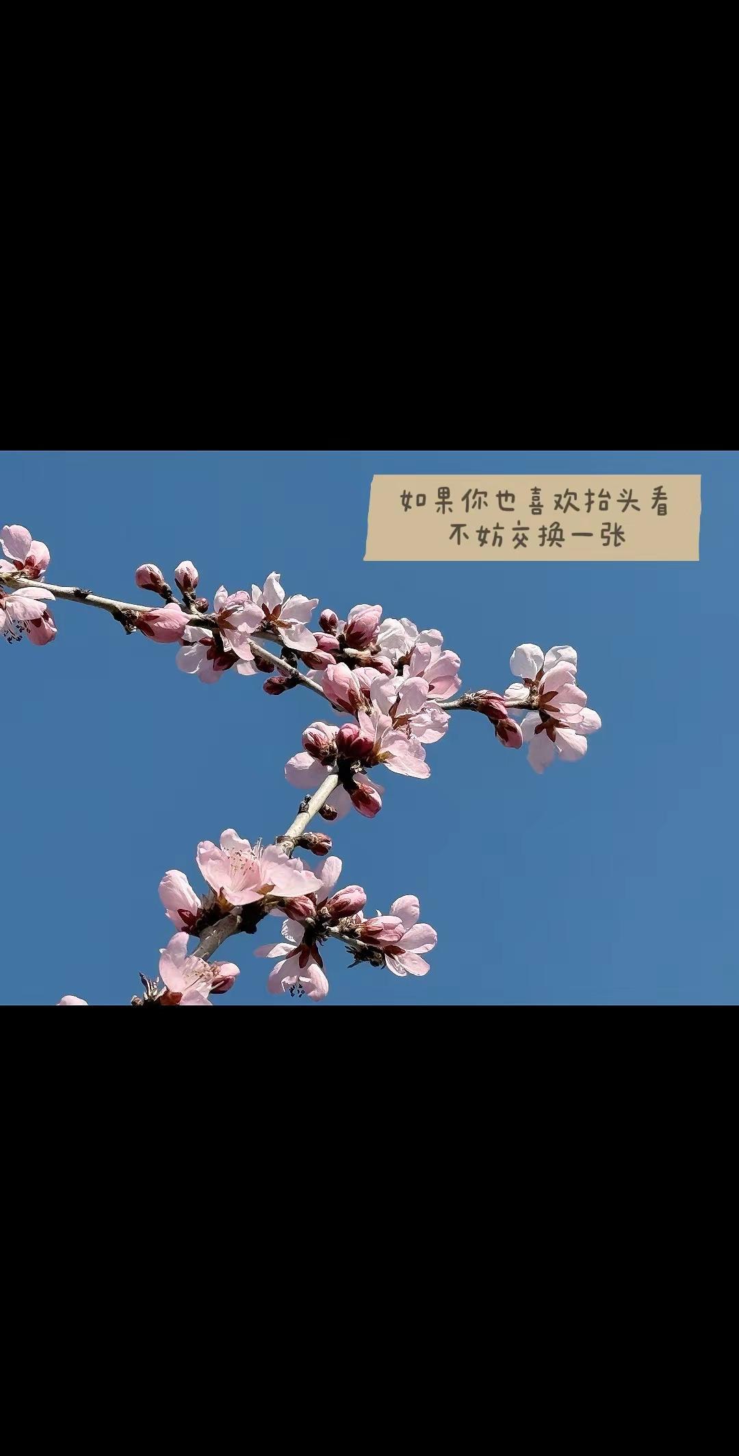 如果你也喜欢抬头看 不妨交换一张。