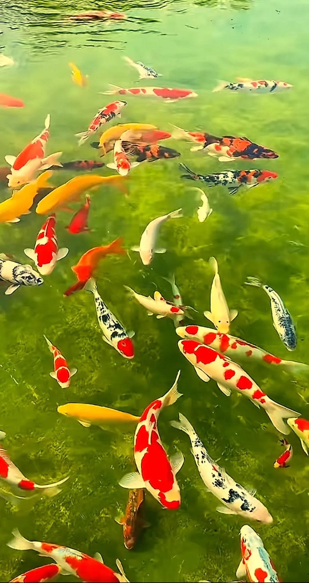 宝玉神游太虚境
 
宁国府办宴席，贾宝玉跟着长辈们去赴宴，酒过三巡，他就犯了困。