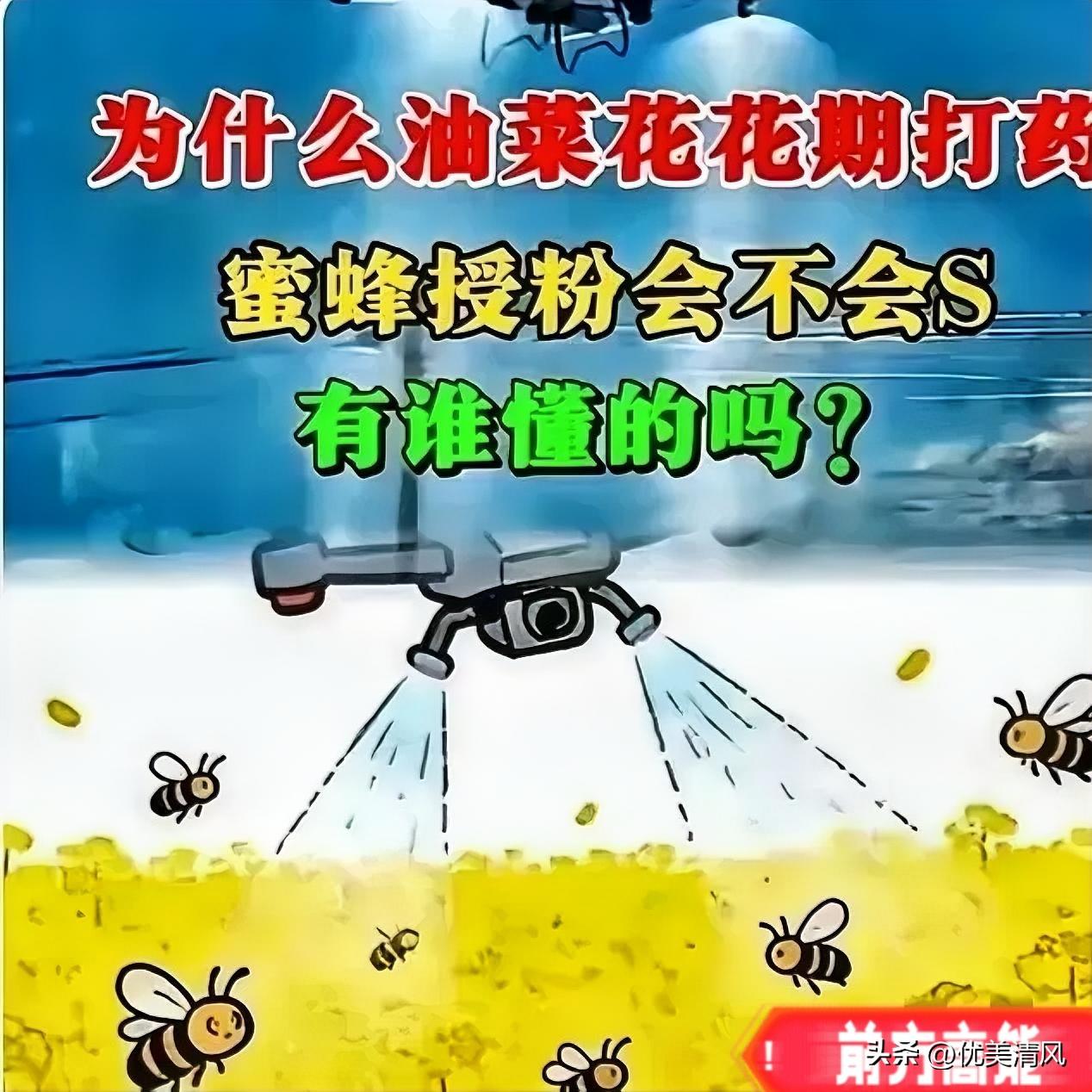官方回应油菜喷药致蜂农损失惨重！在国际形势非常紧张的情况下。这事绝不简单！
油菜