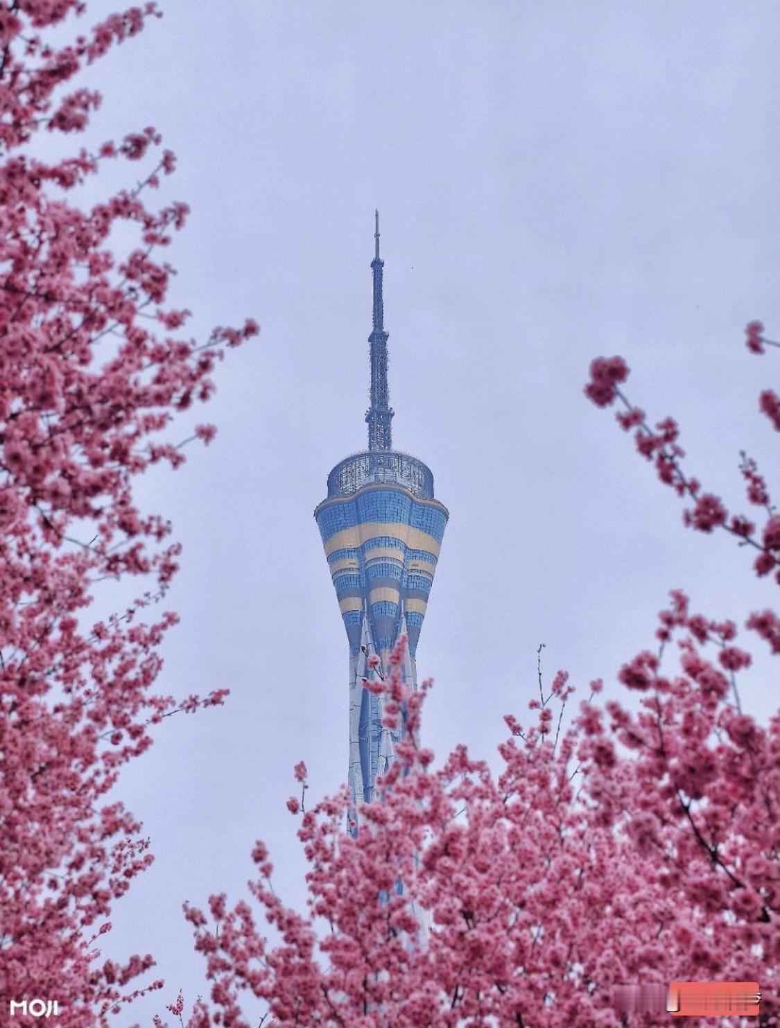 财富自由到底是啥？胡润的说法我觉得挺扯，财富和自由根本两码事。很多人觉得财富自由