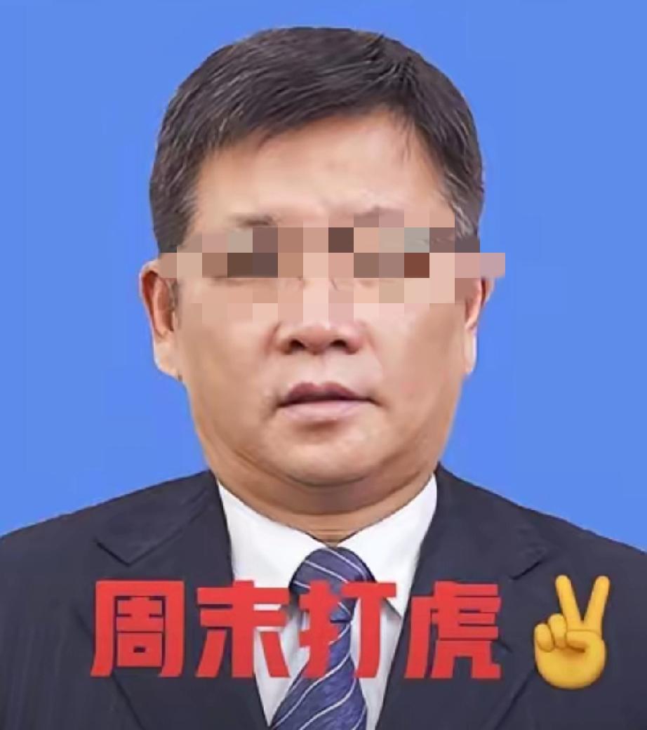 这于世军的履历，看的我是一愣一愣的。

58岁眼看要平安落地了，结果栽了。

吉