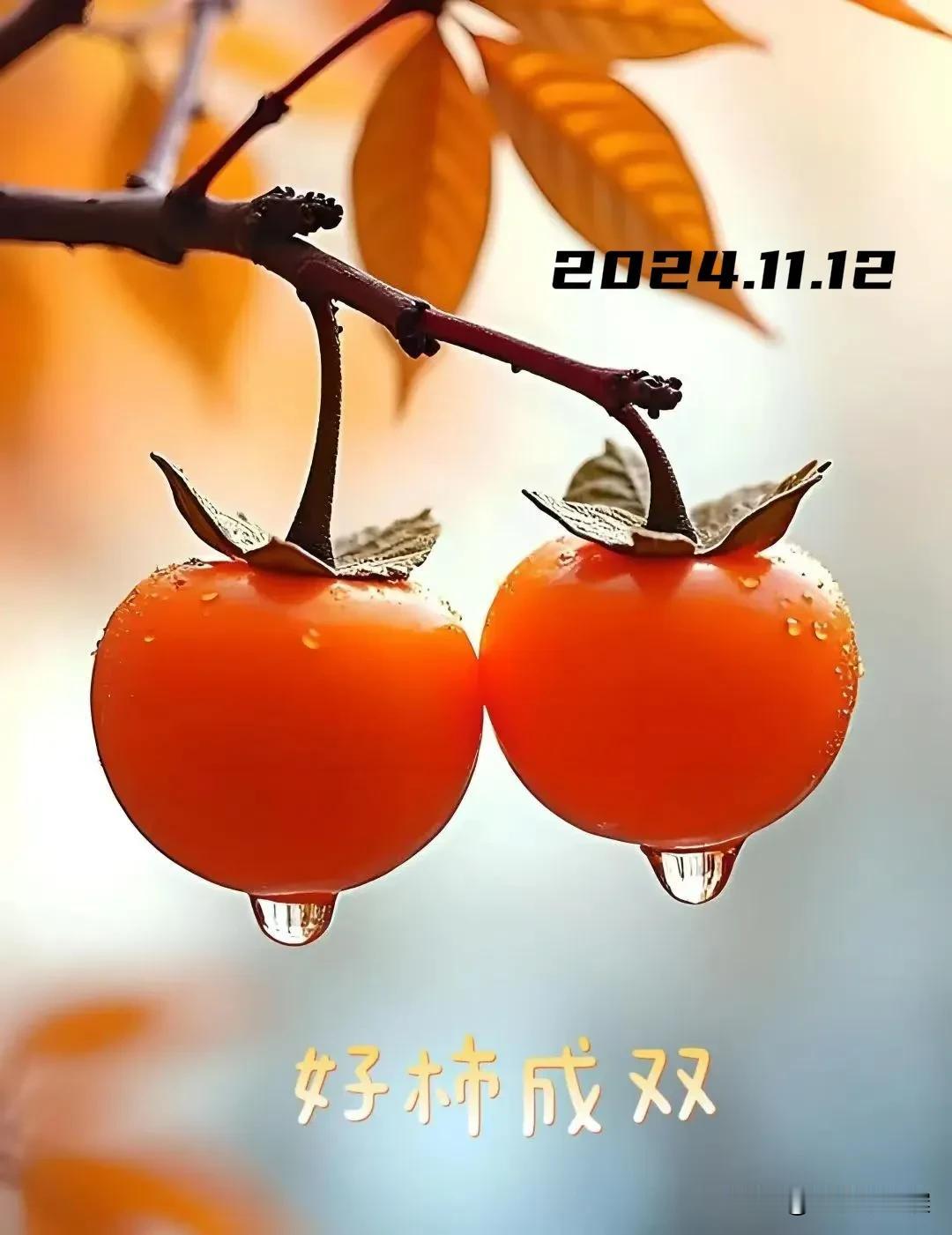 2024.11.12  农历甲辰年十月十二，周二【🌹每日心语】
人生路上难免会