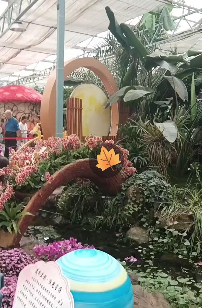 来到郑州绿博园的温室大棚，一进门眼前一下子就亮了。到处都是花花草草，五颜六色的花