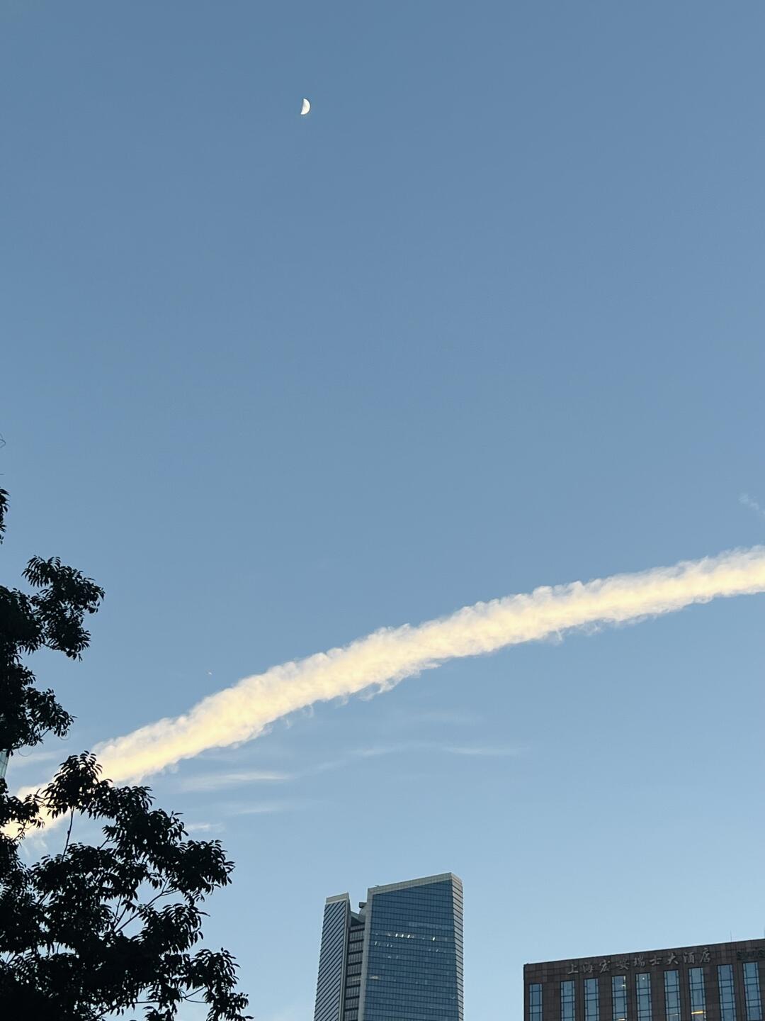 今天全上海人民都看到这条龙啦没？