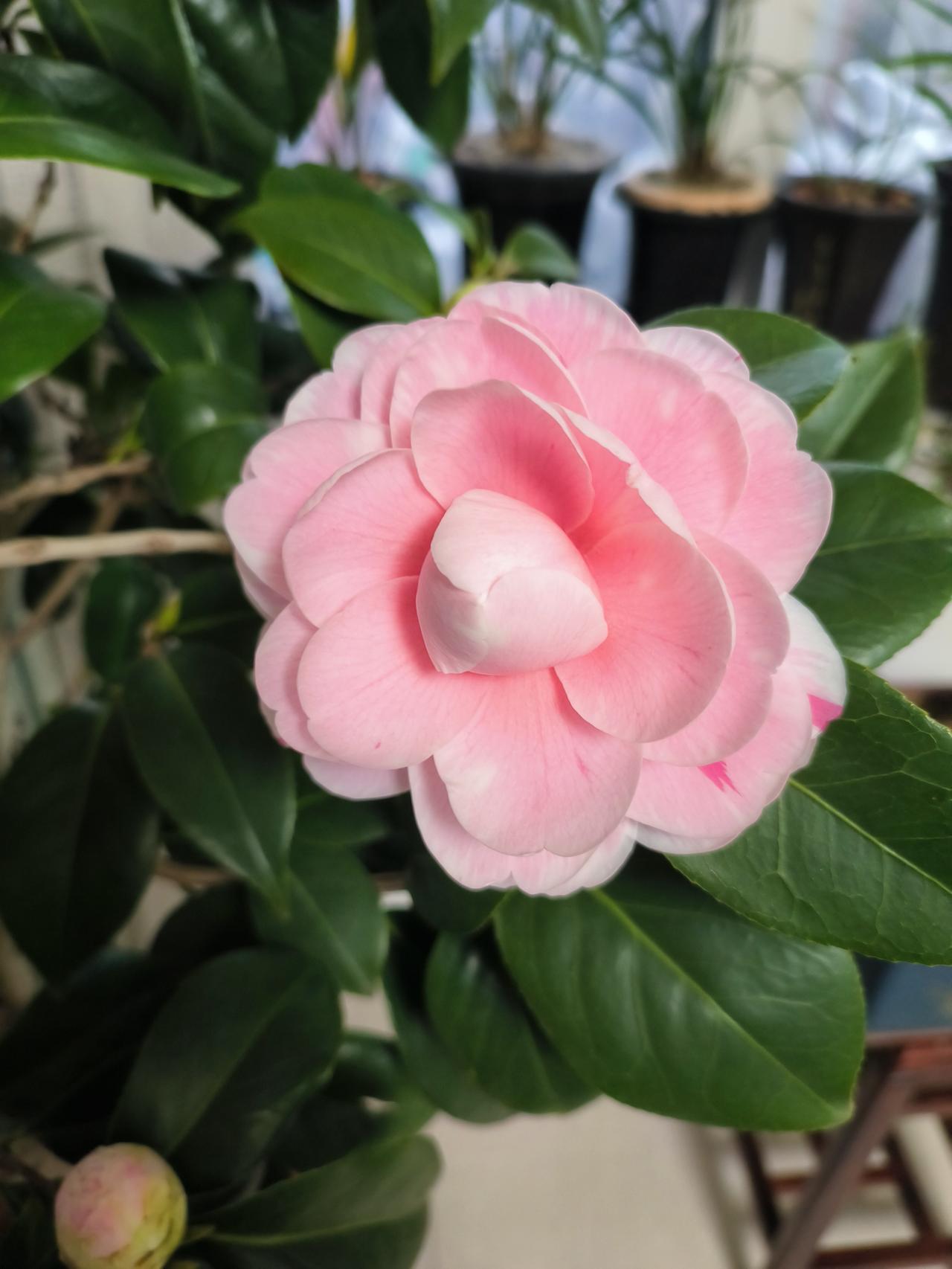 今天中小学阅卷，这个学期马上就要结束了。

学生很快就要拿到成绩回家，考得好的考