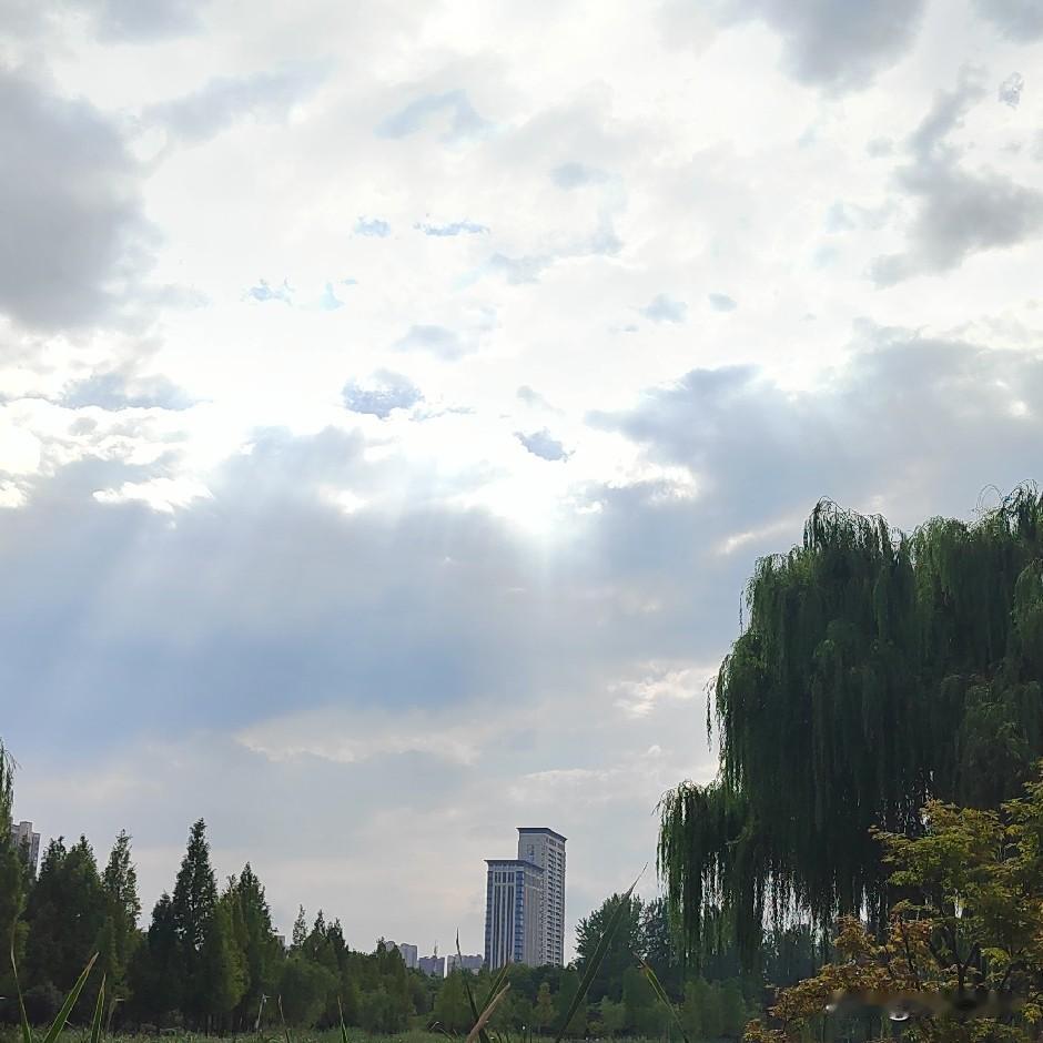 人间四时，秋自绵长
一年四季里，我觉得春天过得最为仓促。还没细细感受春色满园的欣