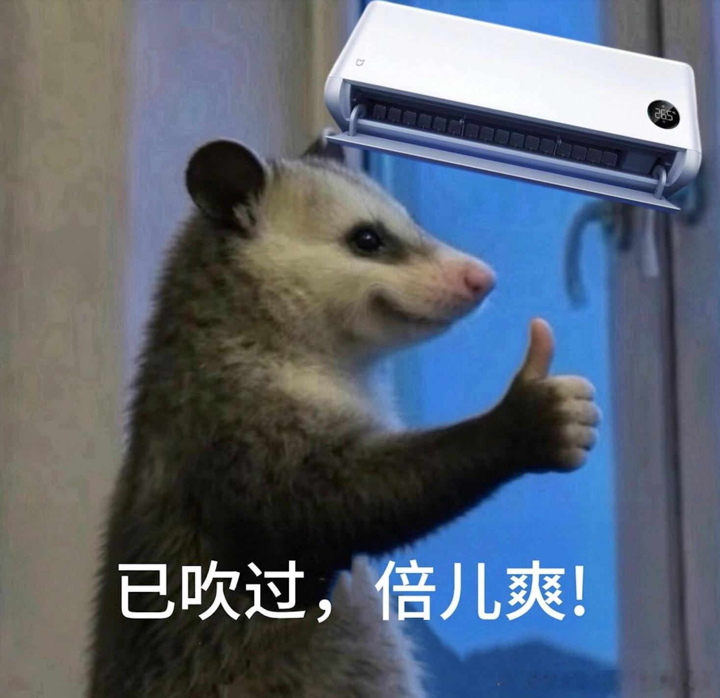 汗腺发达的人如何度过夏天酷暑天出门如同身陷热浪，浑身冒汗格外难受。小米强劲风空调