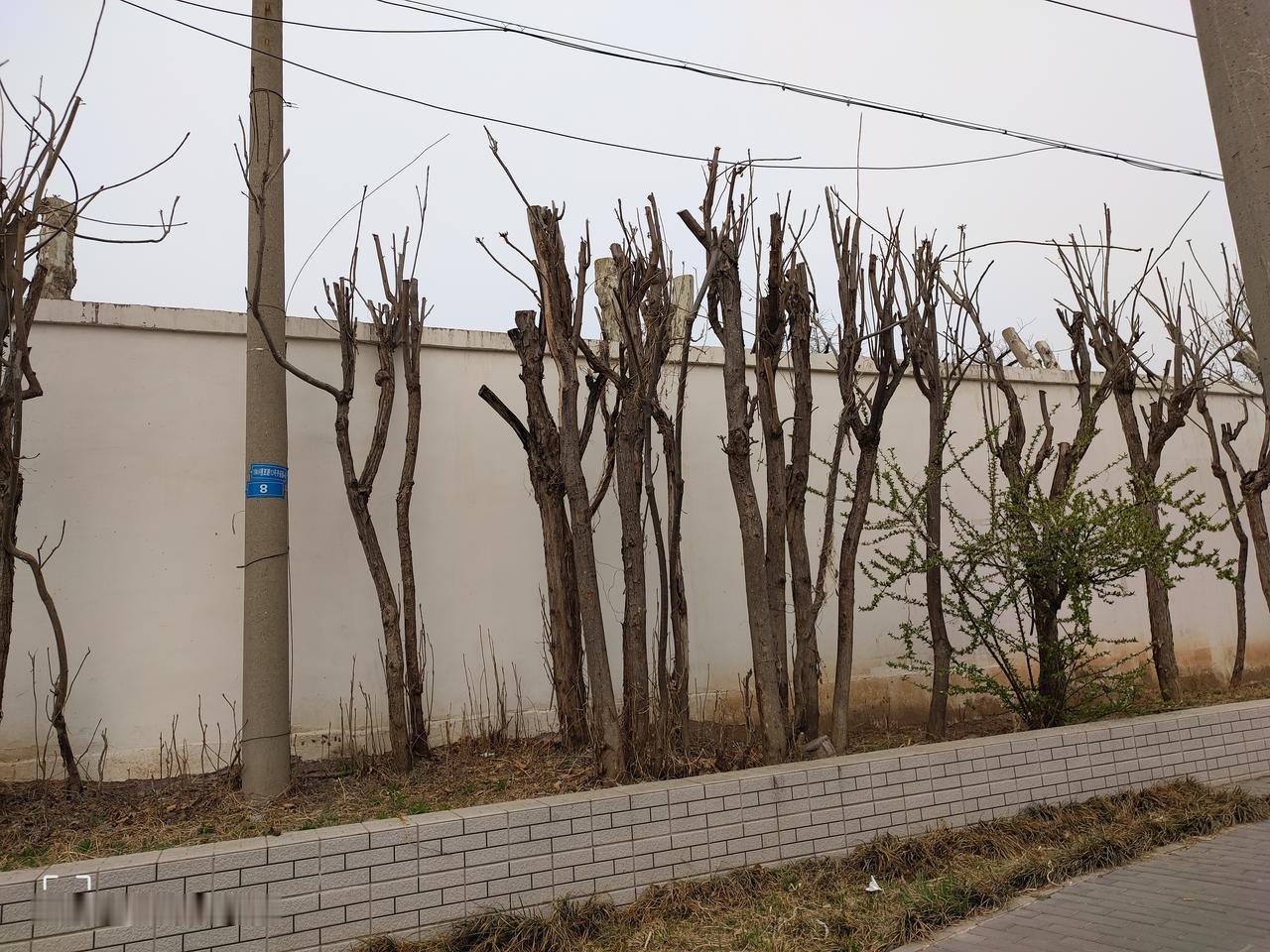 在直播室买保健品的吧，也不是啥正经人……

[呲牙][奸笑][笑哈哈]

- ​