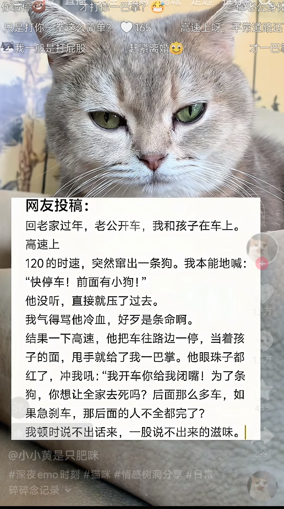 在高速上为了躲一只狗急刹是不值得的，不能太过于圣母了。迷惑行为大赏 ​​​