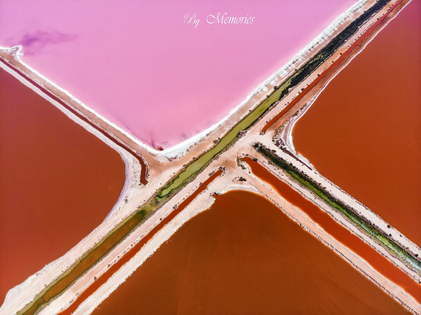 浪漫一旦蔓延便无边无际！西澳粉色海洋