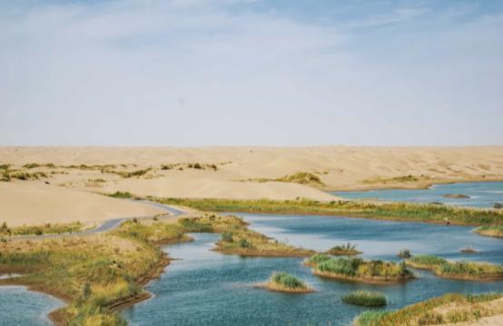 对付沙漠，我们以前的路子都是硬刚，种树，再种树，现在，中国科学院的玩法变了，他们