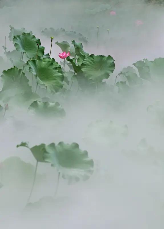 上联:水畔烟轻缠碧柳，有请下联池中雾淡绕红荷。