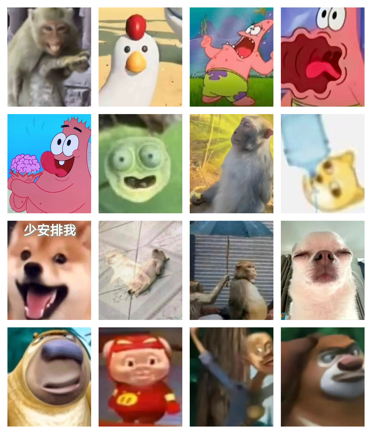 一些会让领导失去沟通欲望的头像② ​​​