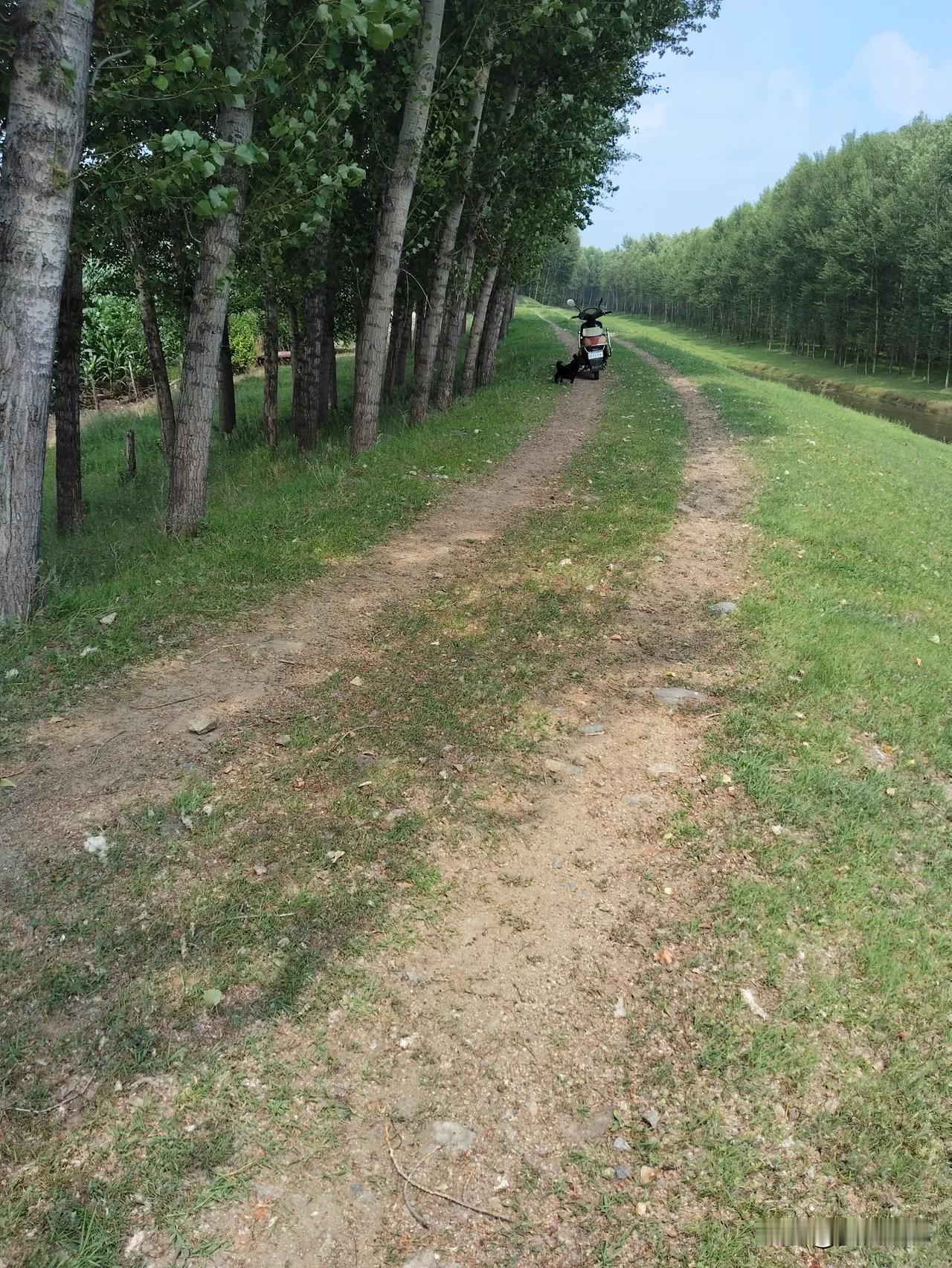 成长就是一场不断告别与相遇的旅程。《人民日报》说，世上最美的相遇，是遇见更好的自