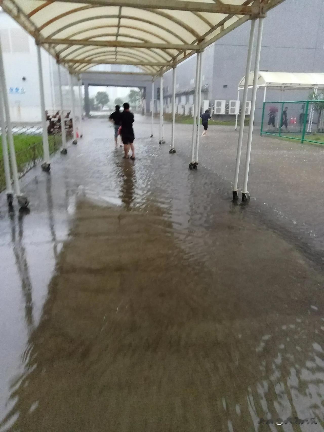 南沙这个地方有点怪，三天两头就下雨，只要一下雨，那一定是又大又急，很容易就被水淹
