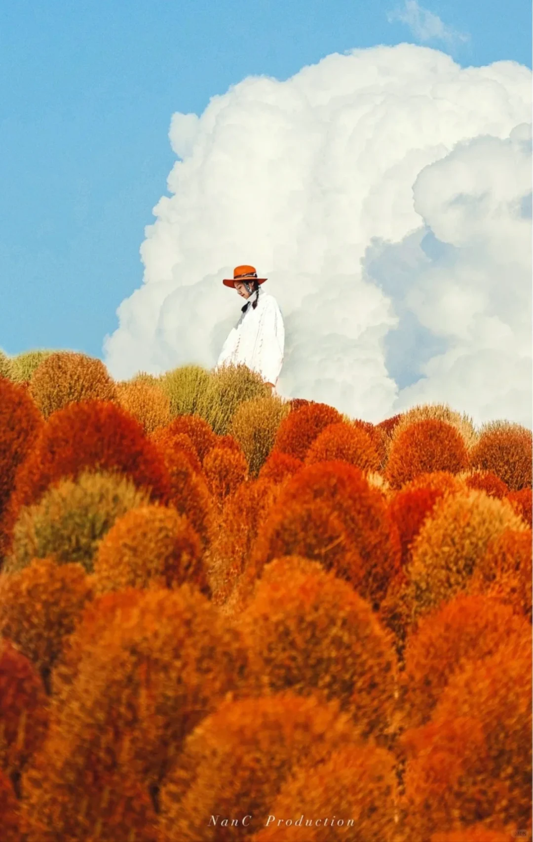 我眼中的秋天🍂上海