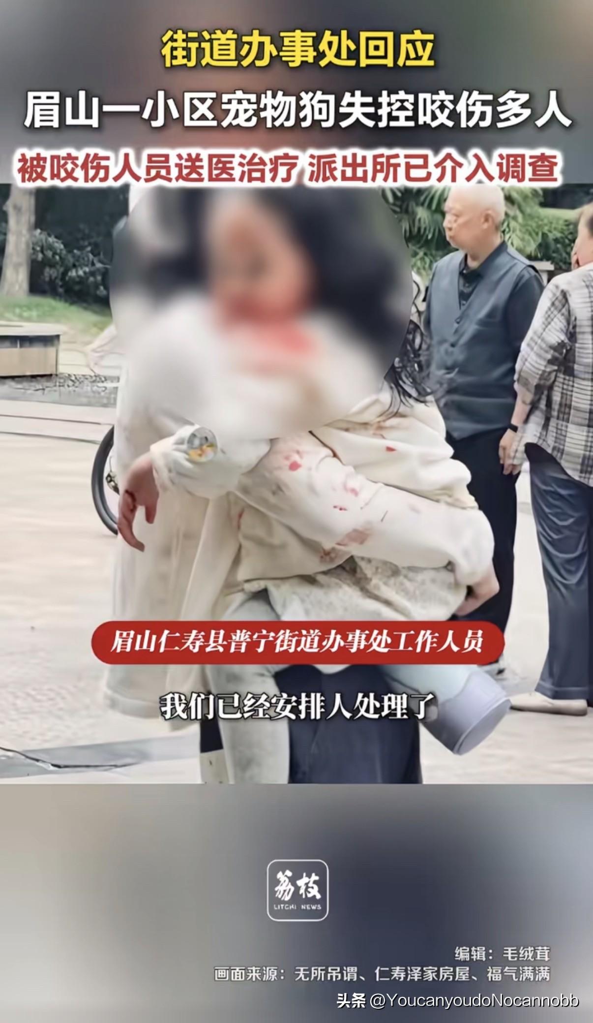 眉山一宠物狗咬伤多人，女狗主人被拘留！这远远不够，不仅应该人狗同责，还要罚的她心