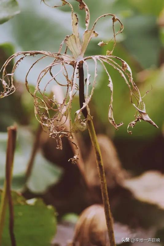 不破不立！

只有那些敢于拒绝，敢于放弃，敢于和别人说不的人！

才算是真的活出
