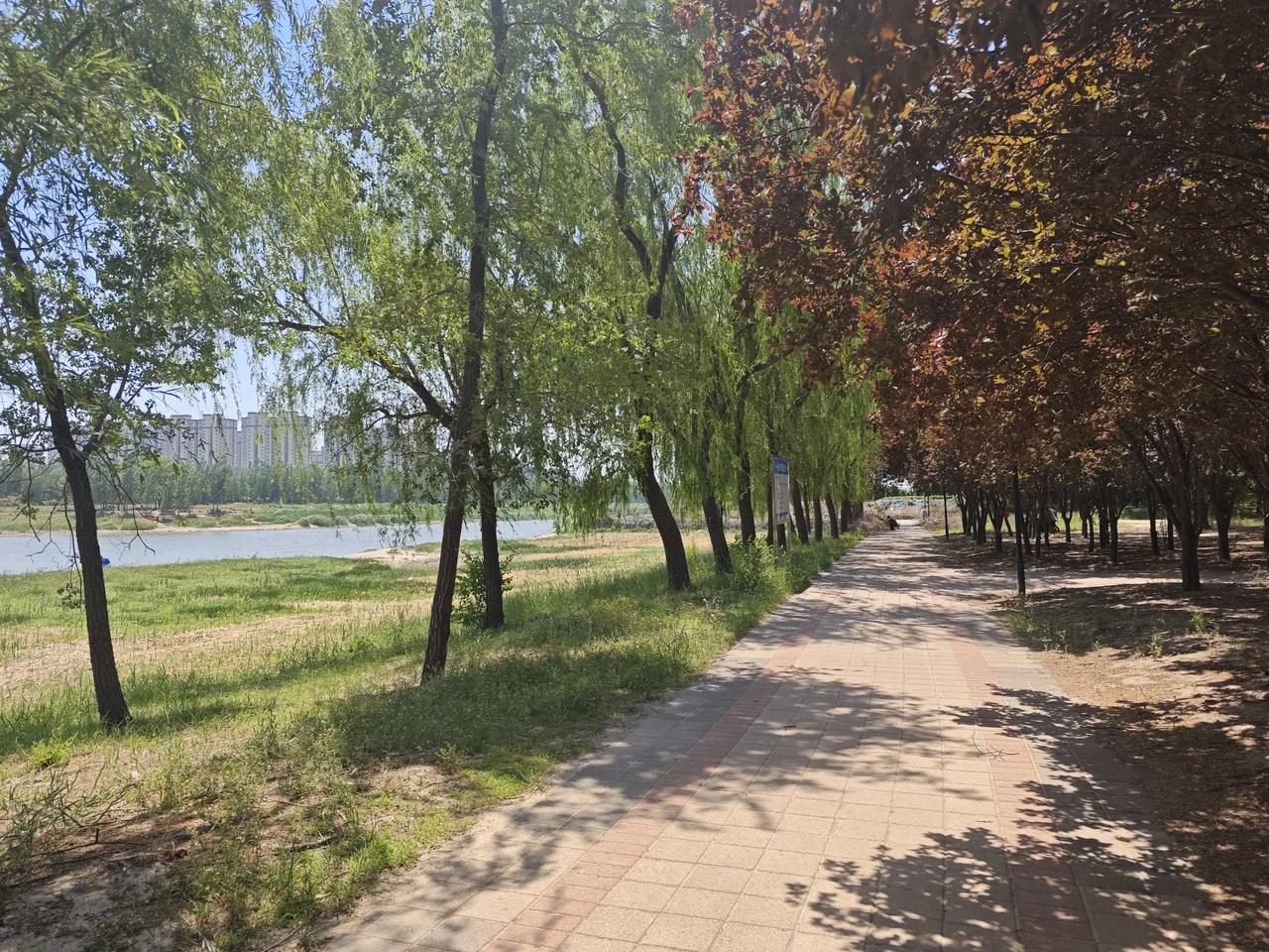 古人四十件乐事的原文为：

​高卧、静坐、尝酒、试茶、阅书、临帖、对画、诵经、咏