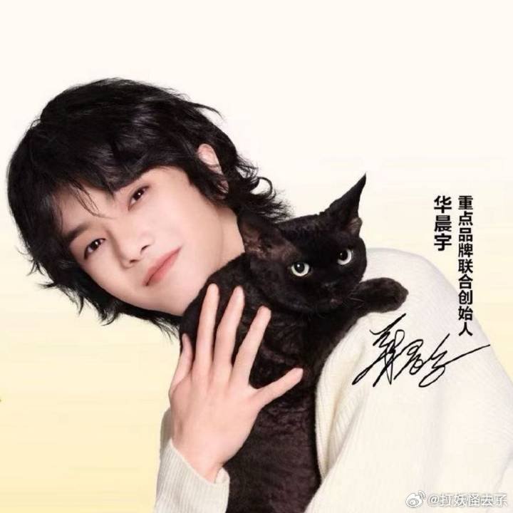 华晨宇重点品牌联合创始人 治愈感不止在歌里，还在他做的每一个小细节里。支持他，是
