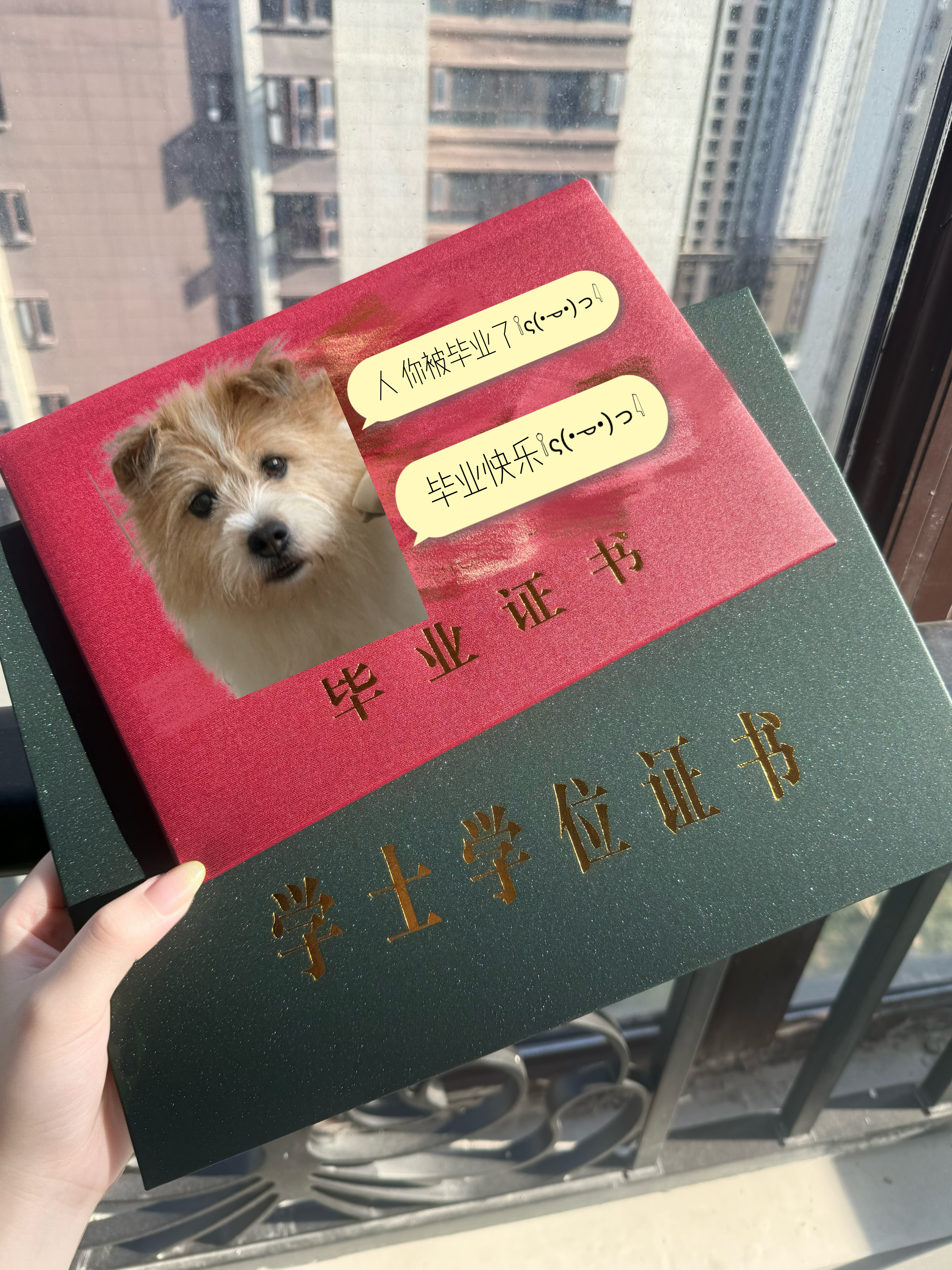 这次真的被被毕业啦 
